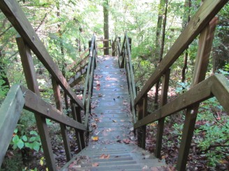 laurel falls trail