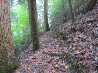 narrow trail