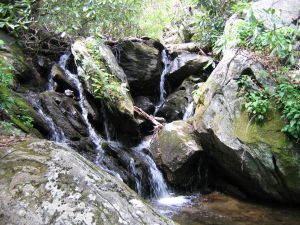 Buck Spring Trail stream