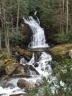 Anne's photo of mouse creek falls