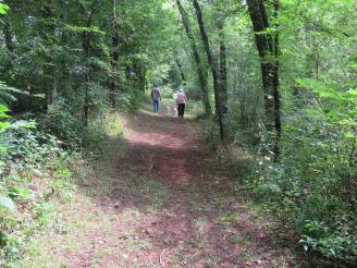 road to cemetery