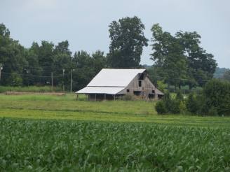 Steve's barn