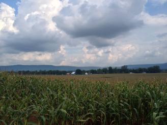 View from cemetery