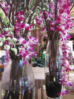 orchid display at Marriott