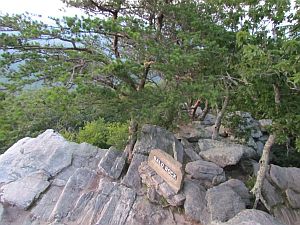 Bald Rock