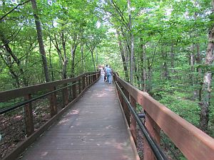 boardwalk