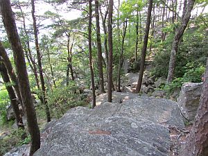 rock trail?