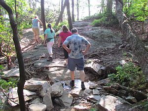 rocky trail