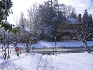 view from porch