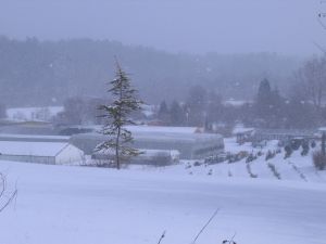 Snow on the station