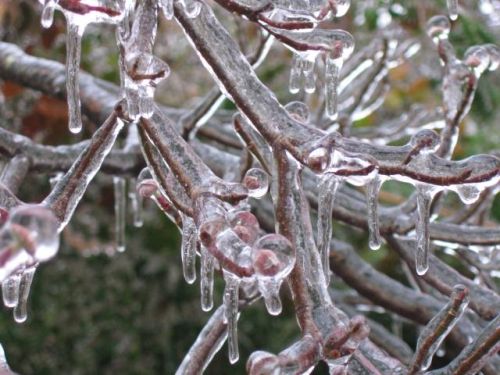 ice storm 2005