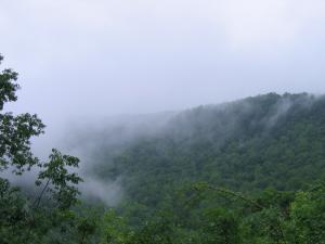 Swift Creek overlook view