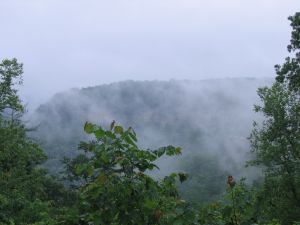 View from overlook