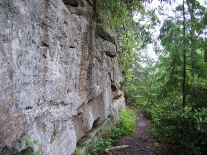 Rock wall