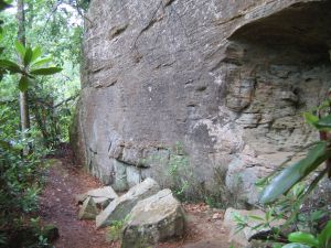 rock wall on the way back