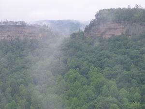 view from Chimney Top