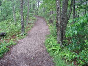 Chimney rock trail