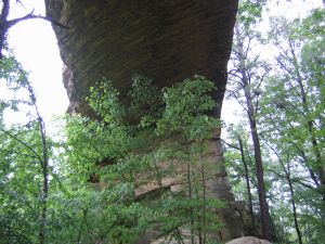 Under the Natural Bridge