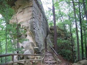 Steps to top of bridge