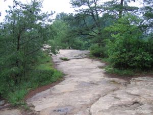 top of Natural Bridge