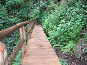 boardwalk