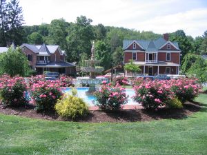 Roses & fountain