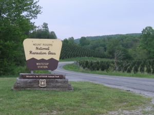 Whitetop Station sign