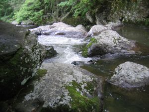 Rocks & water