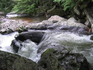 rocks and water