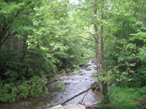 creek