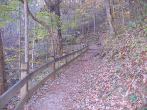 Trail