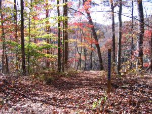 Lovers Leap Trail