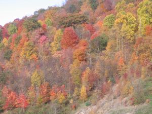 Overlook on I-26