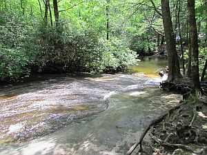 Cove Creek