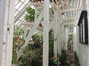 greenhouse