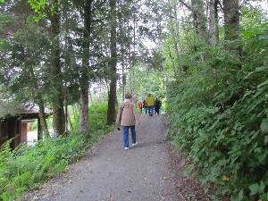 Carolyn in the forest