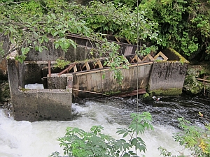 fish ladder 2