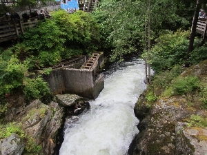 fish ladder