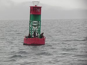 buoy