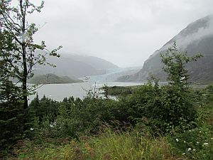 Mendenhall Glacier