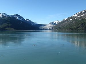 Reid Glacier 2