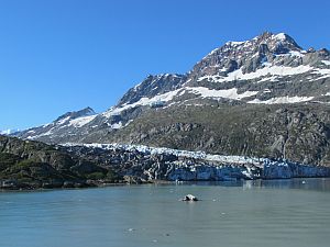 Lamplugh Glacier 1