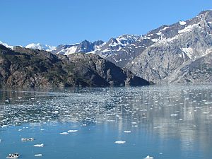 near Lamplugh Glacier