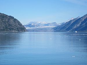 Grand Pacific glacier