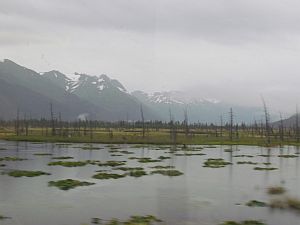 Turnagain Arm 2