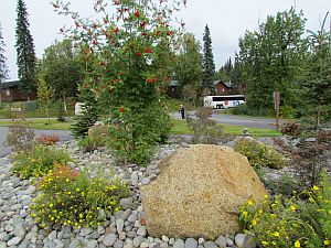 landscaping at lodge