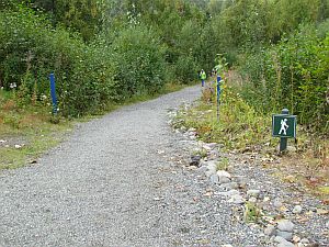 beginning of trail