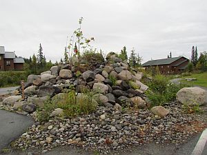 landscape rocks