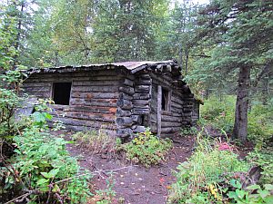 cabin in the woods