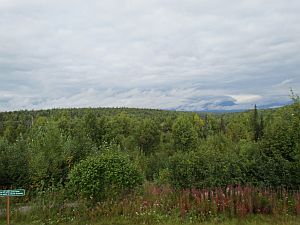 View from McKinley Lodge